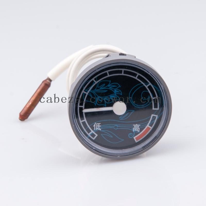 CT-C Series Temperature Indicator