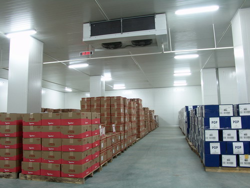 Cold storage,cold room,chilling room,fast frozen room,warehouse,warehousing,distrubition center