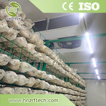 Meat fish and fruit fresh-preserved storage room,cold storage room