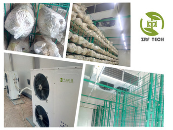 refrigerator room for meat fish vegetable and seafood