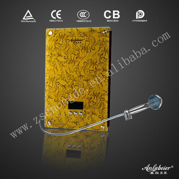 Biogas Boiler High Perfoemance 220V Water Electric Heater