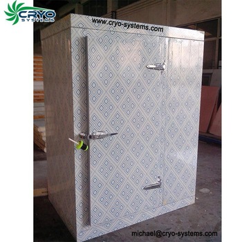 cold storage cold rom cooler chambre froide 2000l basement cold room mold