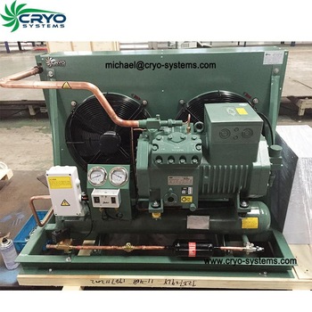 cold storage facility machinery for fish cold store refrigeration equipment condensing unit low temperature for container