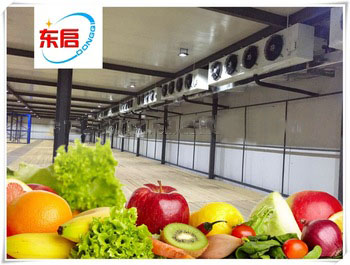 Fruit and vegetable cold room
