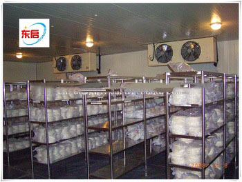 cold storage for potato equipped with equipments cold storage