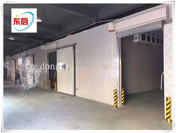 Factory best Choice meat freezer room with sliding door