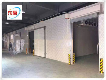 Bottom price trade assurance cold room swing doors