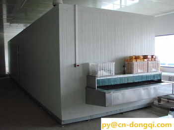 IQF Tunnel Freezer