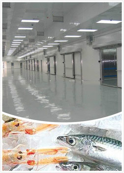 polyurethane sandwich panel cold storage for meat fish vegetable