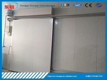 Hot selling cold storage door with low price