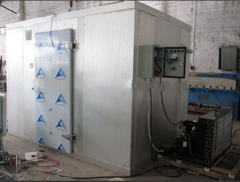 Big blast freezer for meat/Cold room