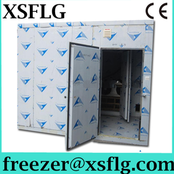 Frozen food deep freezer room