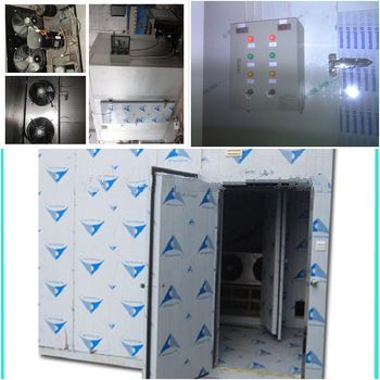 Deep freezer storage room