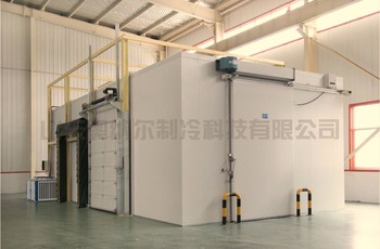Vegetable Cold Room Cold Ctorage Room Manufacturer With Sliding Door
