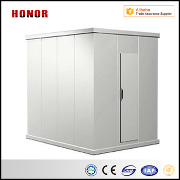Modular Mini Cold Storage For Fish Fruit Vegetable