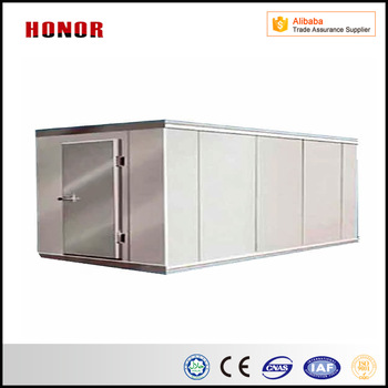 Frozen Cold Room Cold Storage For Meat And Fish Could Customized Walk in Cold Room