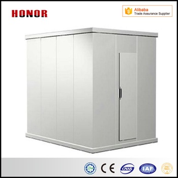 Walk-in Freezer Cold Storage Refrigerator Room for Vegetables