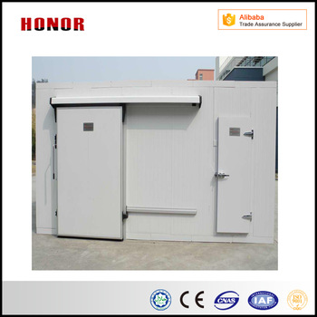 Prime Qulity Mini Cold Storage Cold Room for Fish