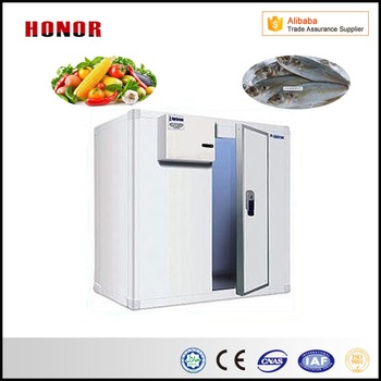 2017 New PU Panel Cold Rooms For Fish And Freezer Applications