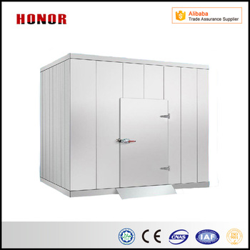Hot-sale Cold room (Walk in freezer) For Fruit Fish Meat Flower
