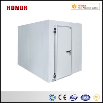 Deep Freezer Room For Meat Chicken Fish Beef Mutton