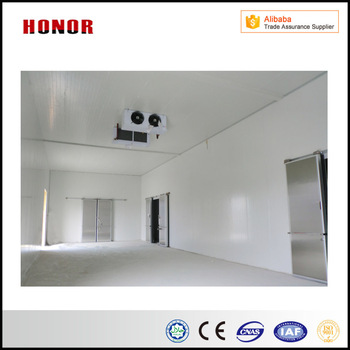 Cold Storage of The Food Storage for Meat Vegetables Fruit and Sea Food Cold Room