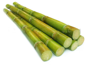 sugarcane juice machine ZJ170A/B