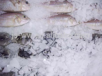 top quality flake ice machine for sale 0.5T daily prouction flake ice maker for supermarket