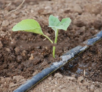 agricultural irrigation pipe