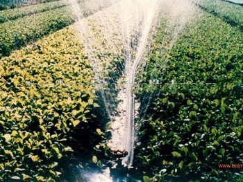 garden irrigation pipe