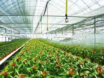 DN 16mm Drip Irrigation Tape for greenhouse