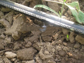 Single labyrinth type drip irrigation tube