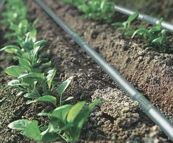Farm Irrigation Pipes with high quality