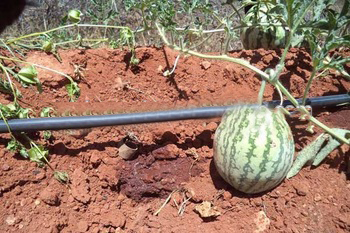 drip irrigation tape drip irrigation pipe