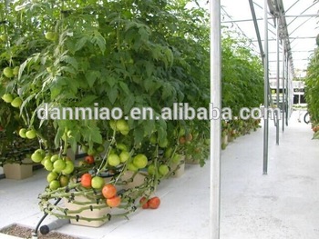 Industrial Hydroponic Systems Dutch/Bato Bucket