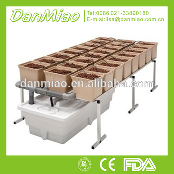 hydroponic growing systems dutch bucket