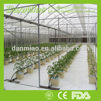 dutch buckets or bato bucket for greenhouse