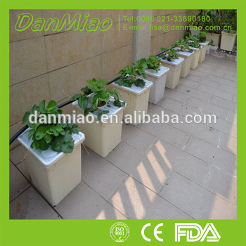 Aeroponic multicapacity process dutch pot