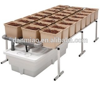 dutch buckets for sale - Aquaponics and bato buckets