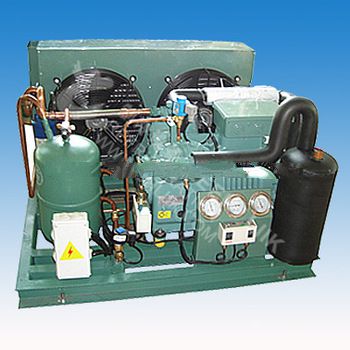 4CC6 2 Bitzer compressor Condensing unit for cold room CE