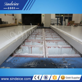 1T containerized brine pool block ice machine in 20ft container