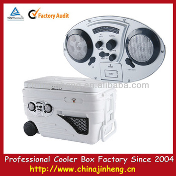 AM/FM speaker box
