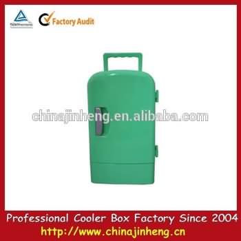 Mini car refrigerator and warmer