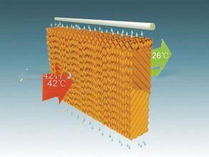 greenhouse/poultry/pig house cooling pad