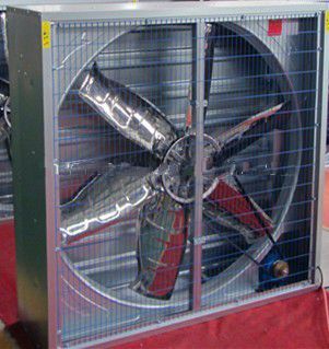 heavy hammer poultry fan