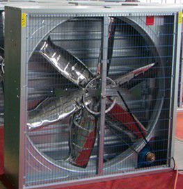 710/900/1000/1250/1400 industrial wall mounted negative pressure exhaust fan