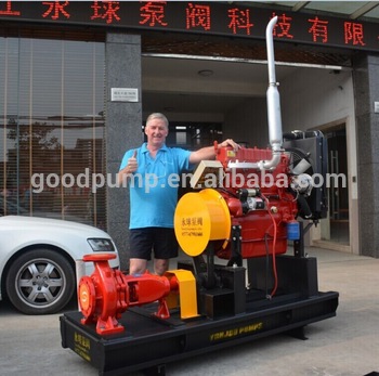 30 1000m3 h Large Outflow Agricultural Irrigation Diesel Water Pump