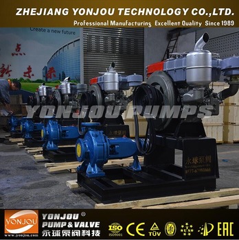 Diesel engine driven water pump D IS diesel engine centrifugal pump