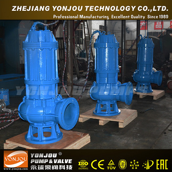 QW sewage submersible pump