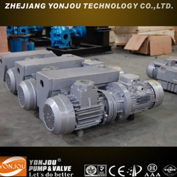 Rotory Vane Vacuum Pump Sliding Vane Pumps